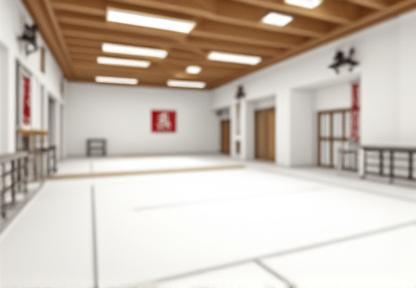 Interior view of the Falcon Karate Academy dojo.