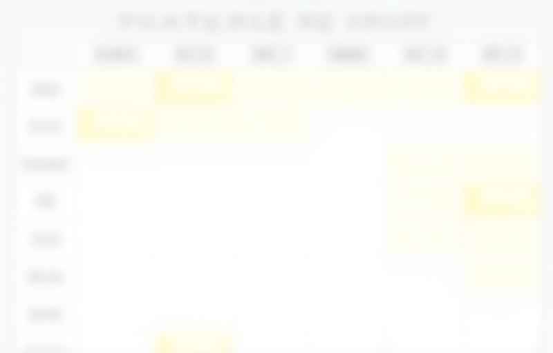 Example visual representation of the weekly class schedule.